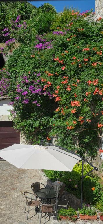 Villa Cardak - 2