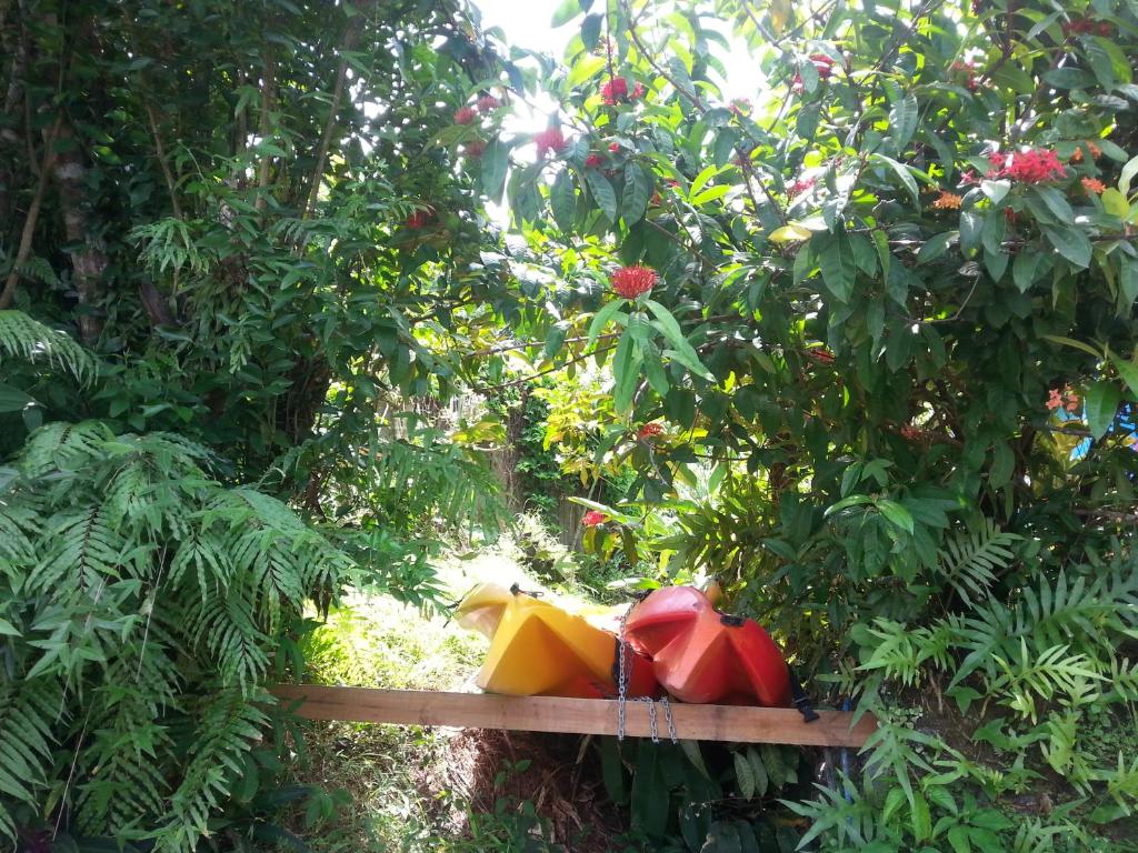 Programlehetőségek