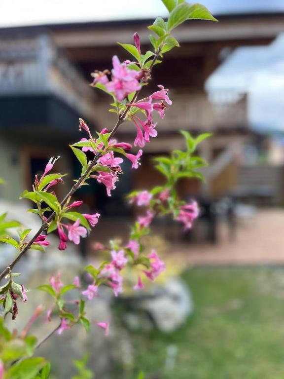 Family chalet for 10 people Terrace and Mountain view - 4