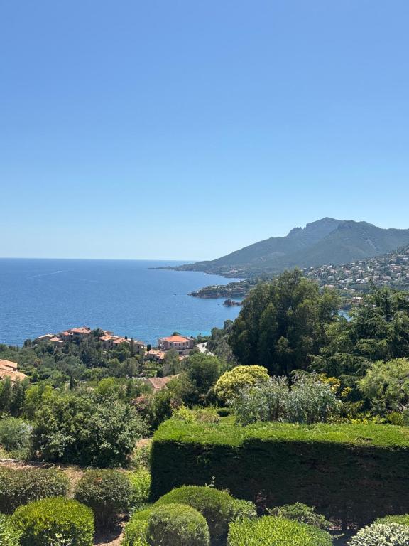 Au calme ! Vue Mer et Terre - 2