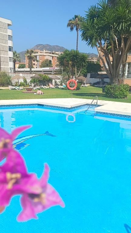 Cozy High-Rise Studio Sea Views & Garden Pool - 3