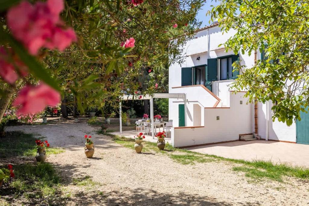 Casa Jo - Castellammare del Golfo a 5 Minuti dalla Spiaggia con Piscina - 5