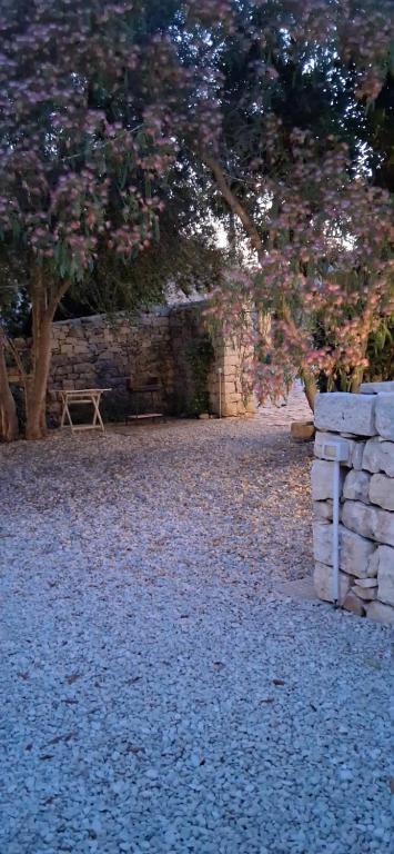 Casale Donna Morena - 3
