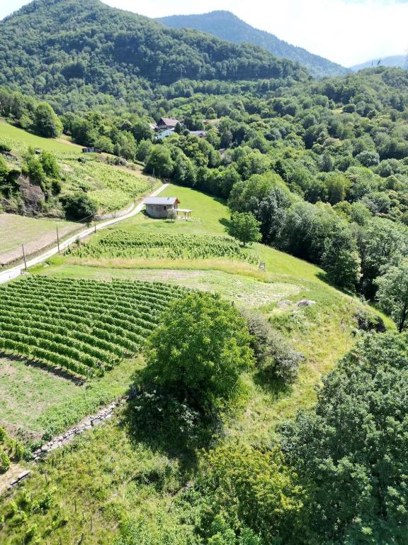 Maisonnette des vignes - 2