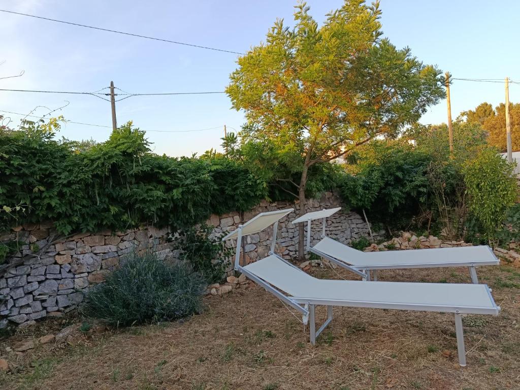 Trullo in piena valle d'itria del 1800 - 4