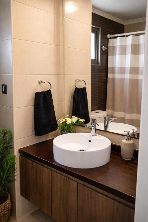 Renovated and Spacious apartment in Santiago! - 3