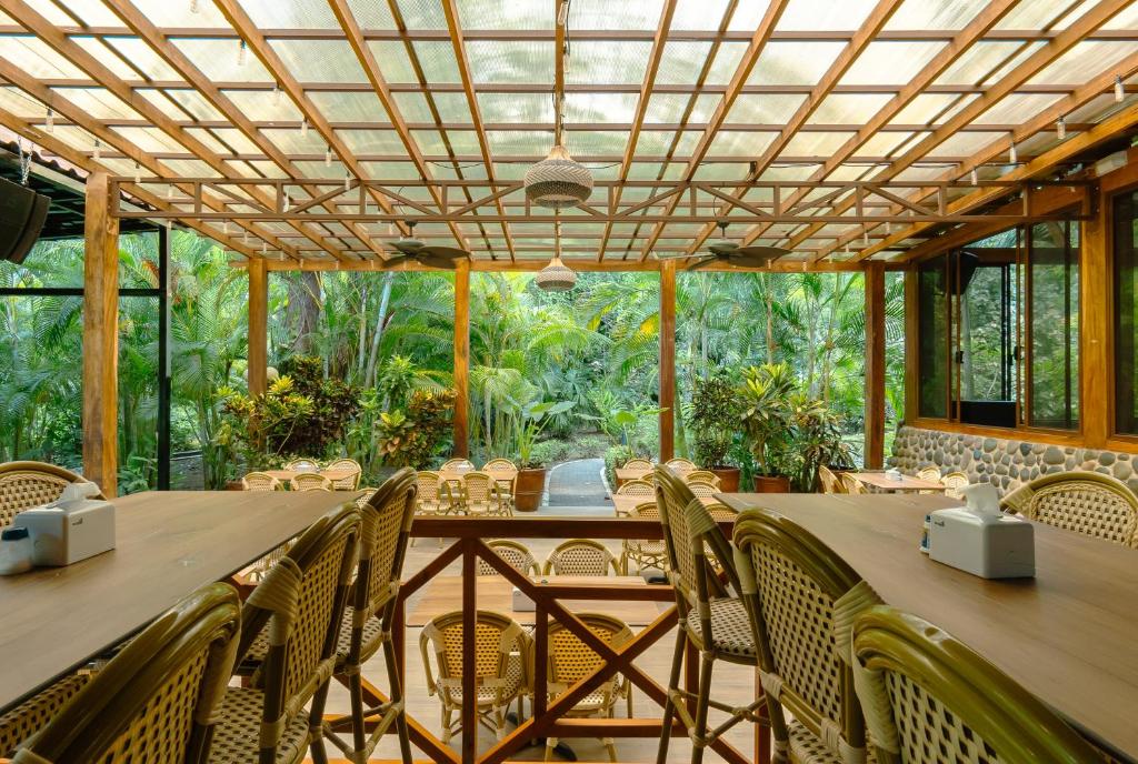 Ảnh 4