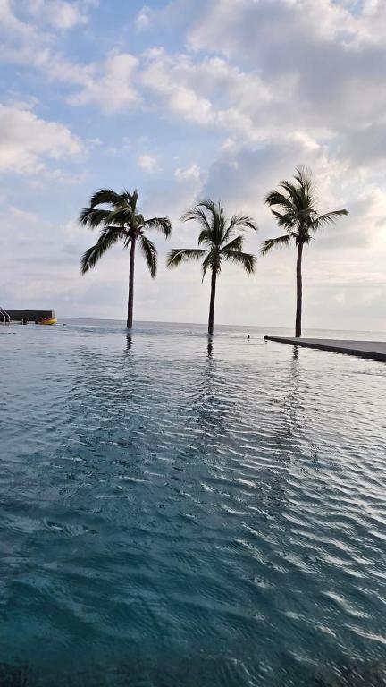 Arama Bay Lujo, Vista al Mar y Amenidades Premium - 2