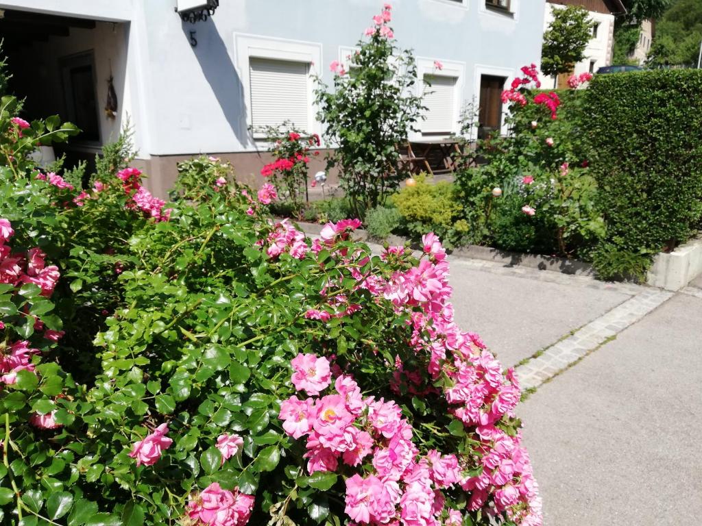 Ferienwohnung Walker - 3