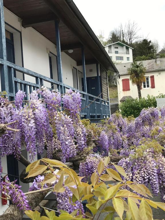 Hôtel du Clos Fleuri - 3