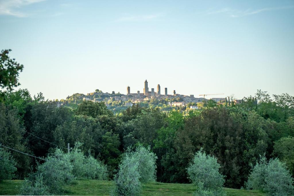 Podere Casanuova - Caesius Home Pool & View - 3