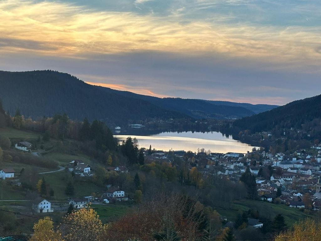 Chalet Panoramic Lodge, Spa avec vue lac et cinéma - 4