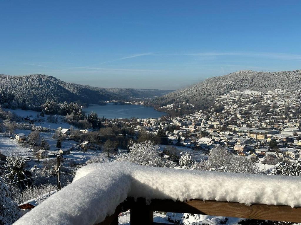 Chalet Panoramic Lodge, Spa avec vue lac et cinéma - 3