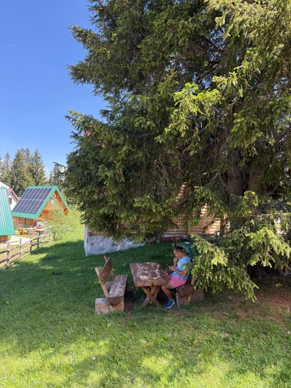 Guest house Mickovic - 3