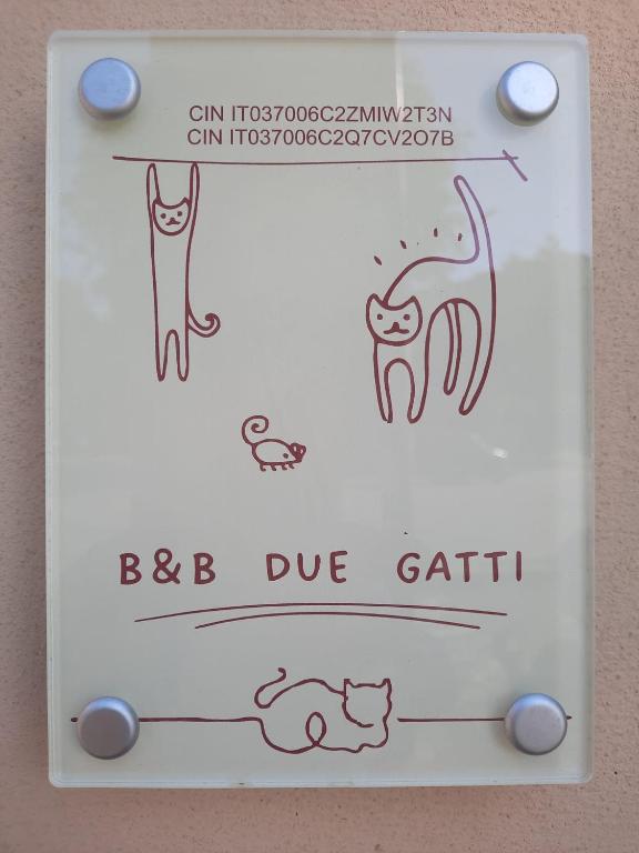 Due Gatti - 1
