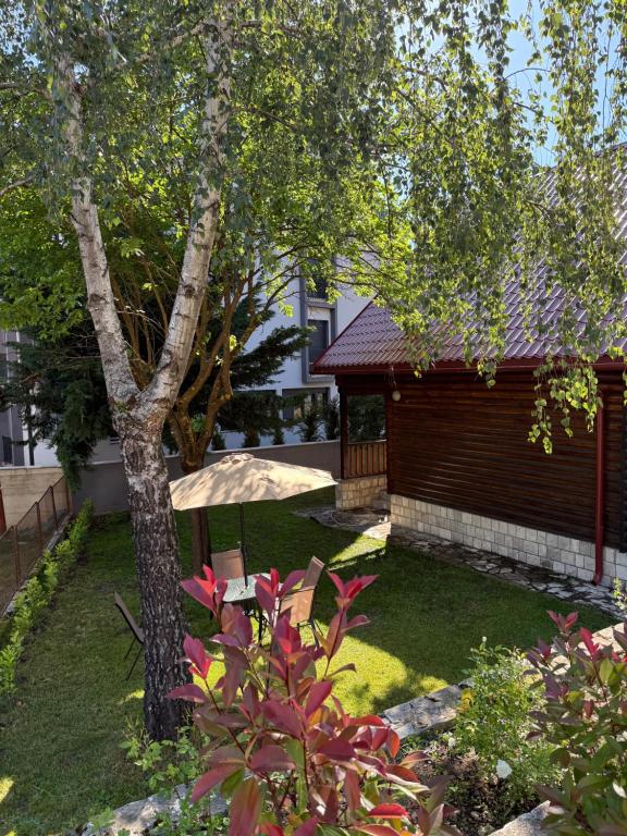 Vila Rosa Kolasin - 3