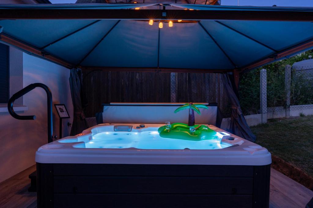 SPA Privatif Couvert - 6 pers - Beauval & Châteaux - La Sablonnière - 1