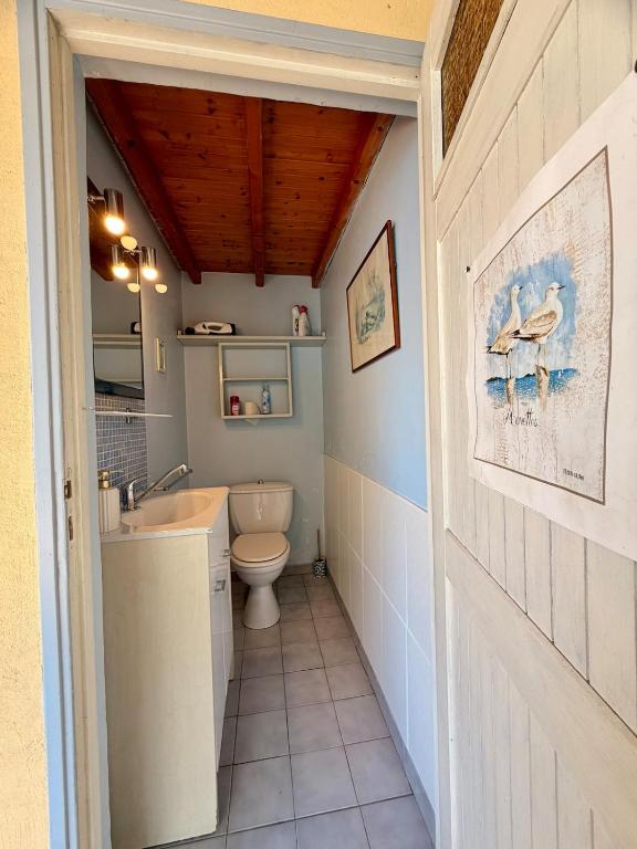 La cabane les pieds dans l'eau, accès direct au lac d'Annecy - 5