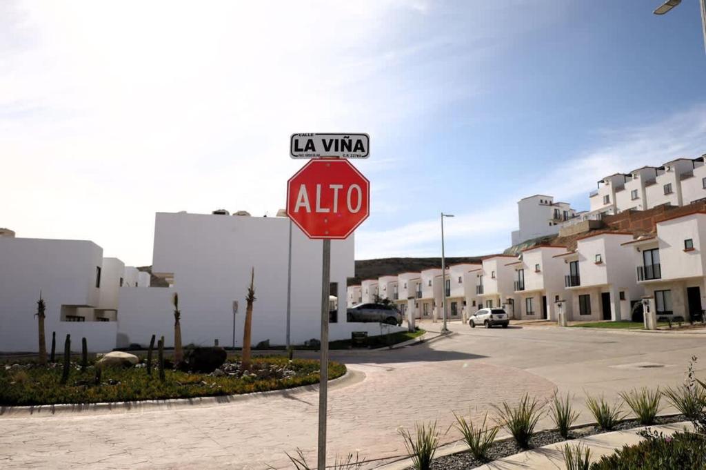 Ảnh 2