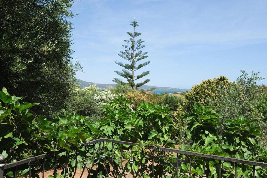 Casa con grande giardino vista sul mare di Budoni - 3