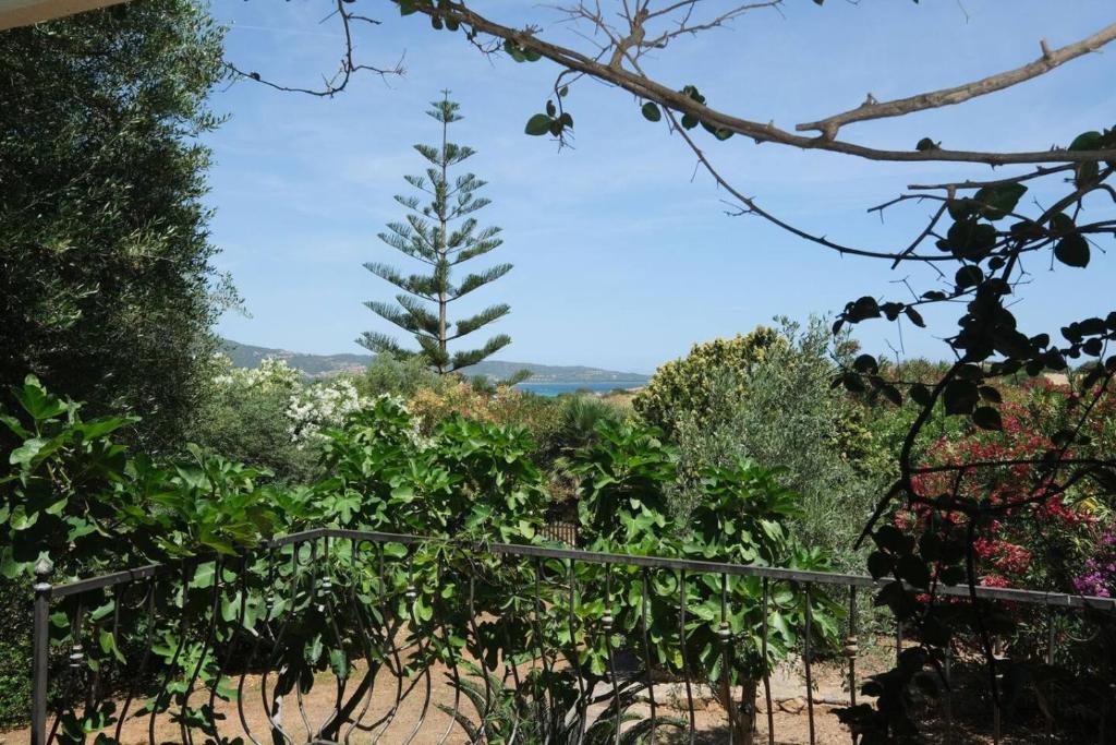 Casa con grande giardino vista sul mare di Budoni - 4