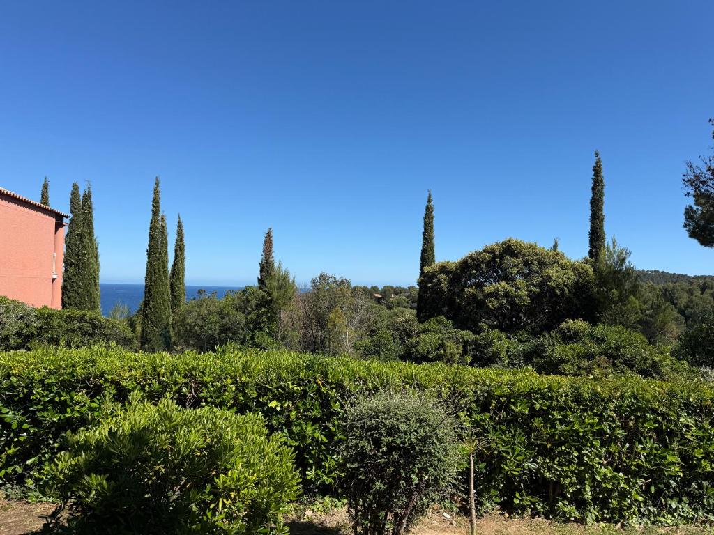 Appartement T2 vue mer - Cap Estérel Agay - 5 personnes - 3