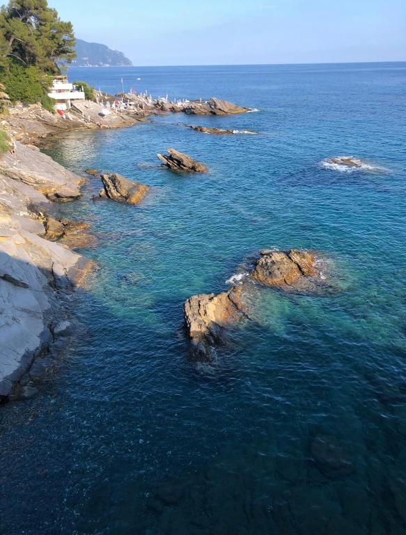 Casa mia a Nervi - 3