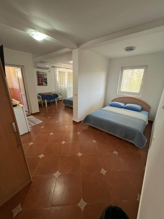 Apartmani Radosavovic - 2