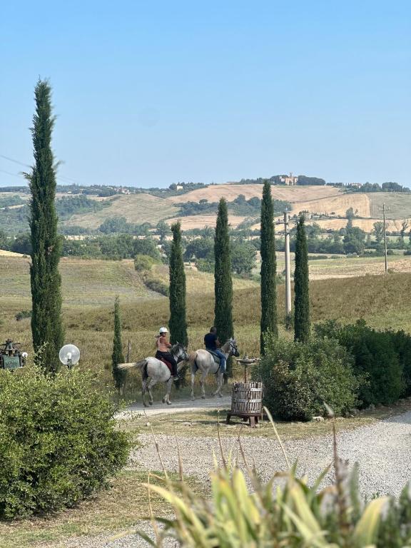 Colsereno Boutique Wine Resort - 5