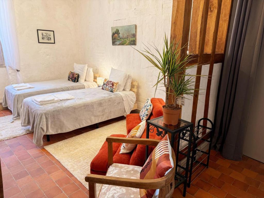 Studio centre-ville, animaux admis - 2 pers. - FR-1-491-487 - 1