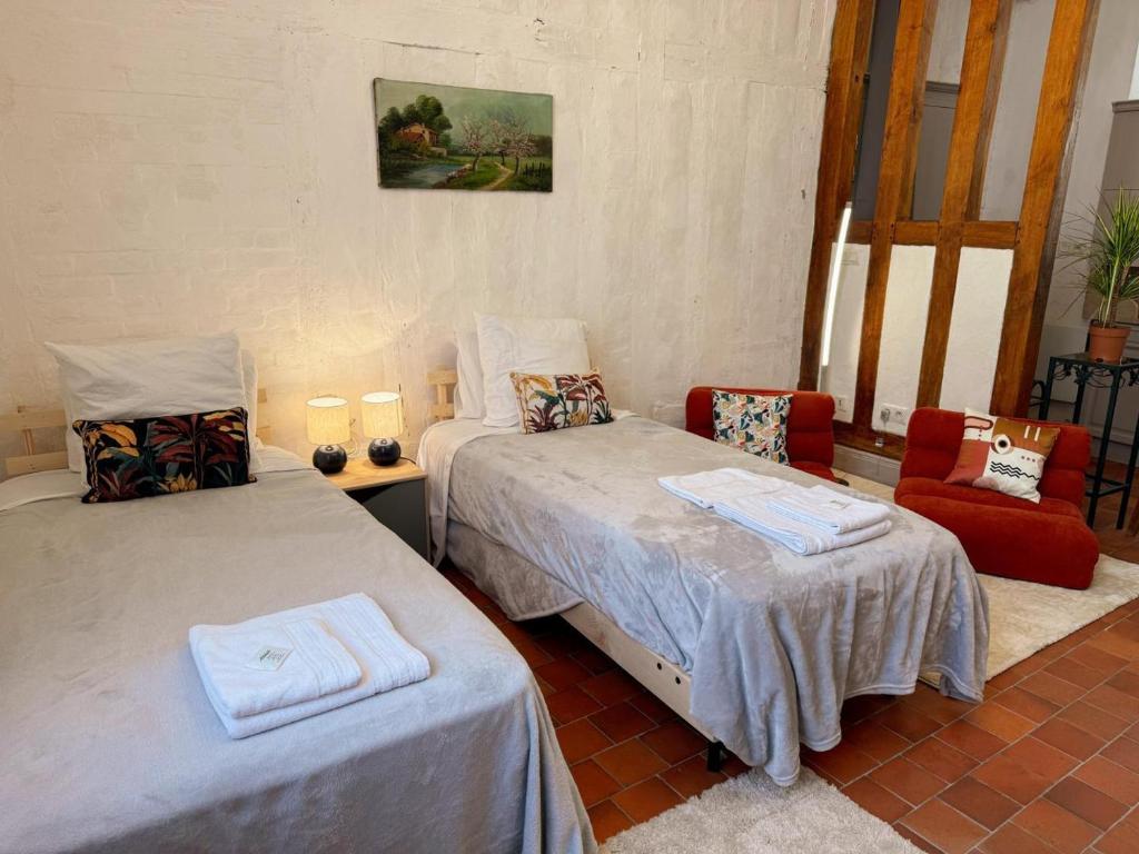 Studio centre-ville, animaux admis - 2 pers. - FR-1-491-487 - 3