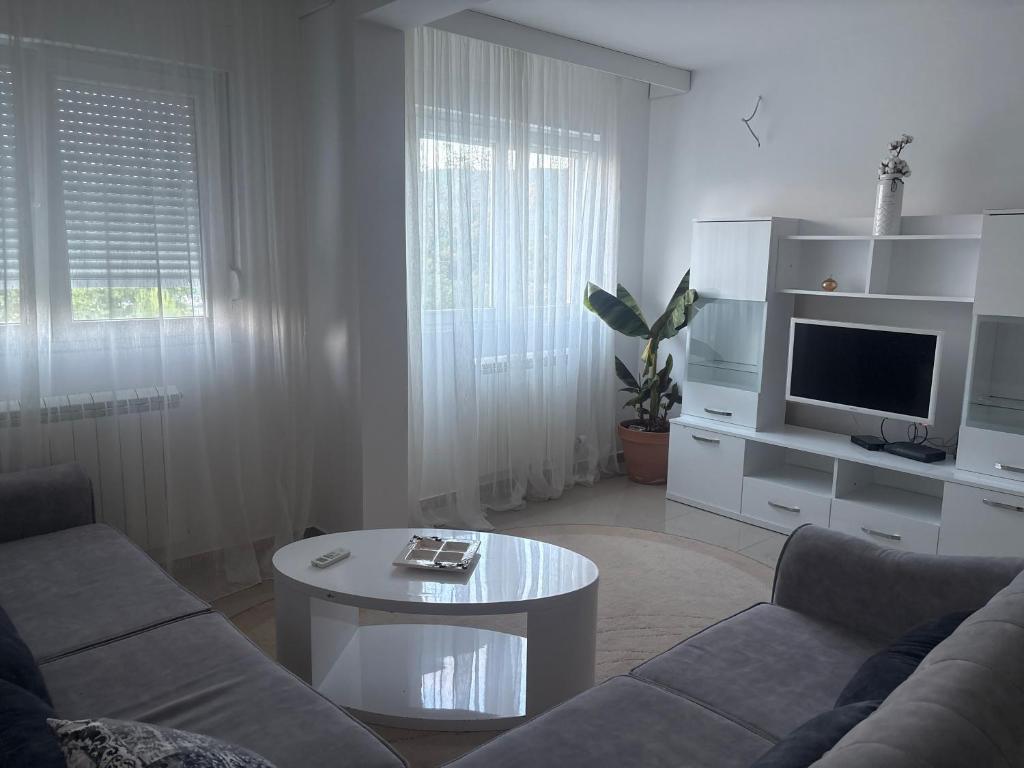 Volga - 1