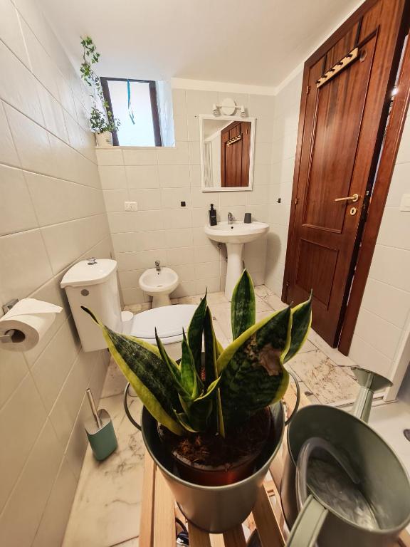 Il loft di Serena - 5