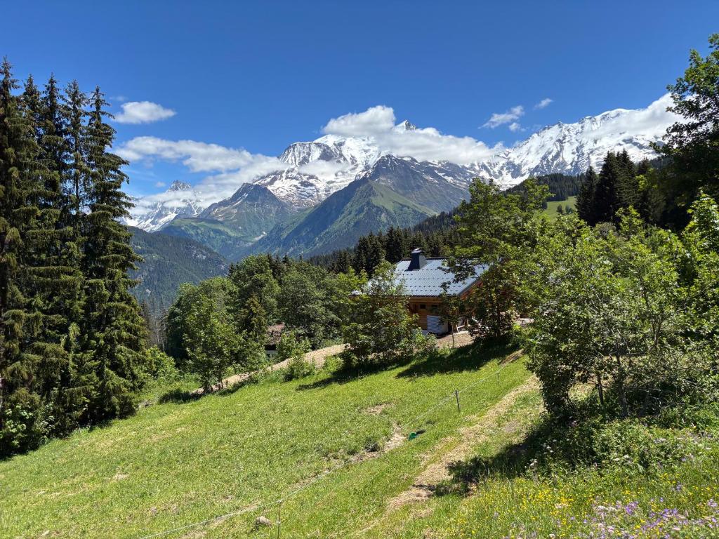 Chalet de l'Emey - 12 pers - 3