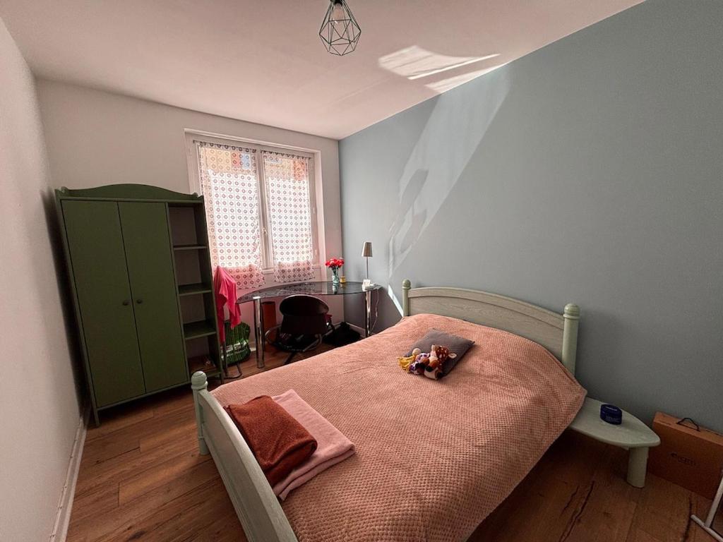 Grand appartement Lumineux dans le coeur de Clermont - 2
