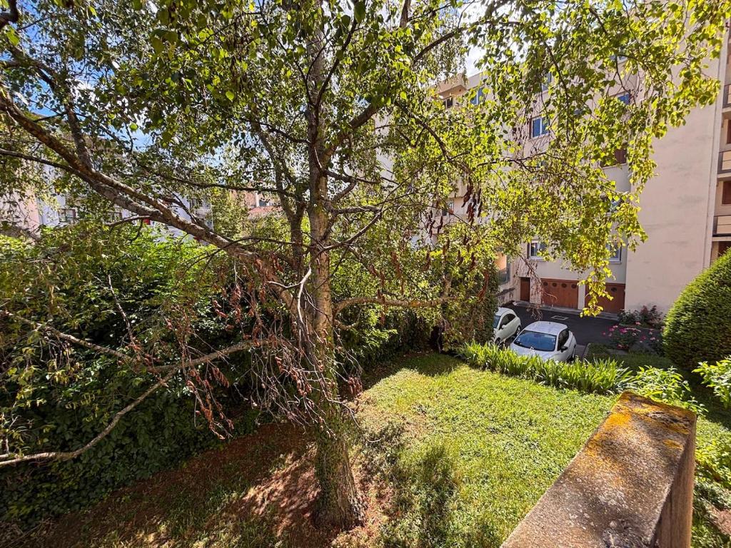 Grand appartement Lumineux dans le coeur de Clermont - 5