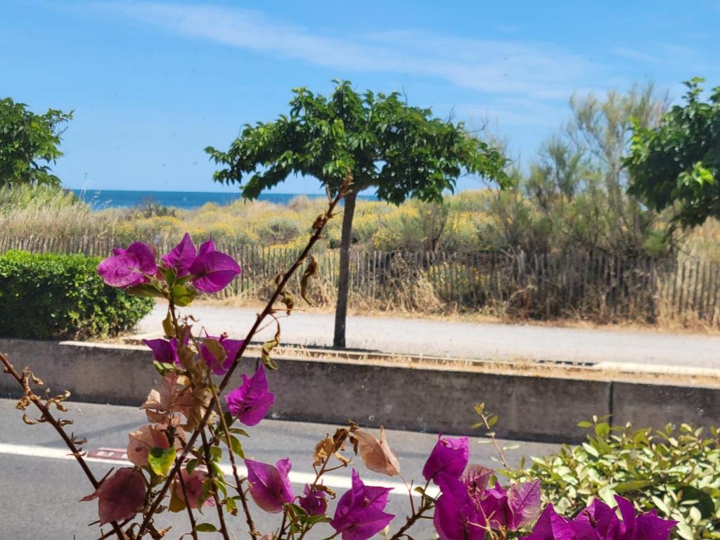 Bel Appartement Face à la mer, au RDC d'une maison en cours de classement meublé, 4 couchages, WIFI, PORTIRAGNES PLAGE LXBFM26 - 5