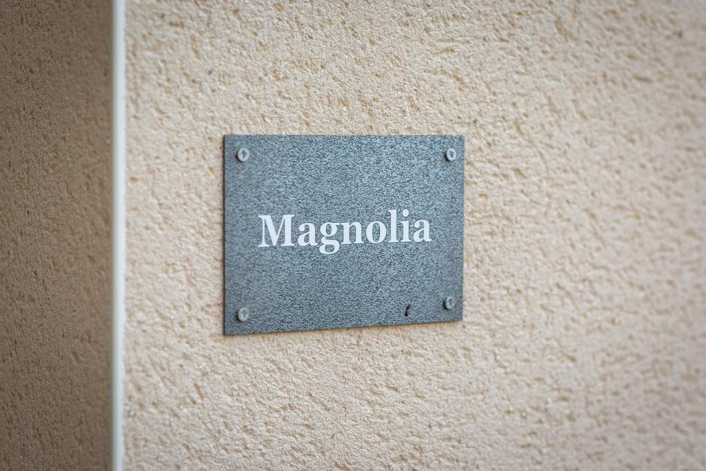 Magnolia - Le Jardin des Plantes - 4