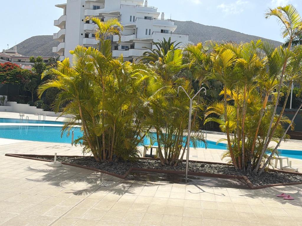 casa Hermosa - 3