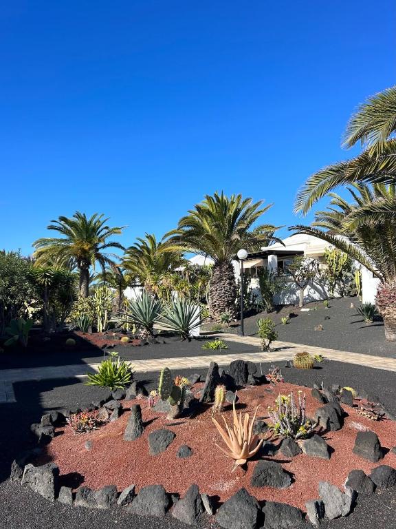 Casa Oasis - 3