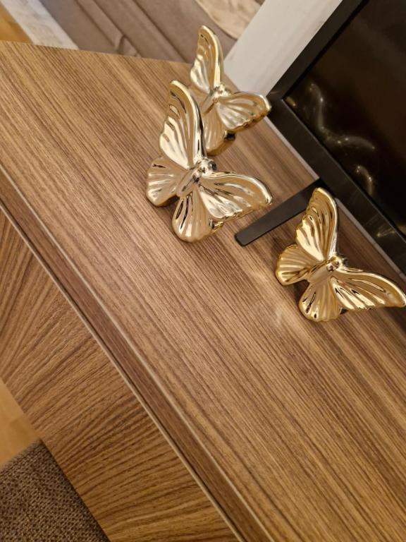 Apartman- Antique 10 - 5
