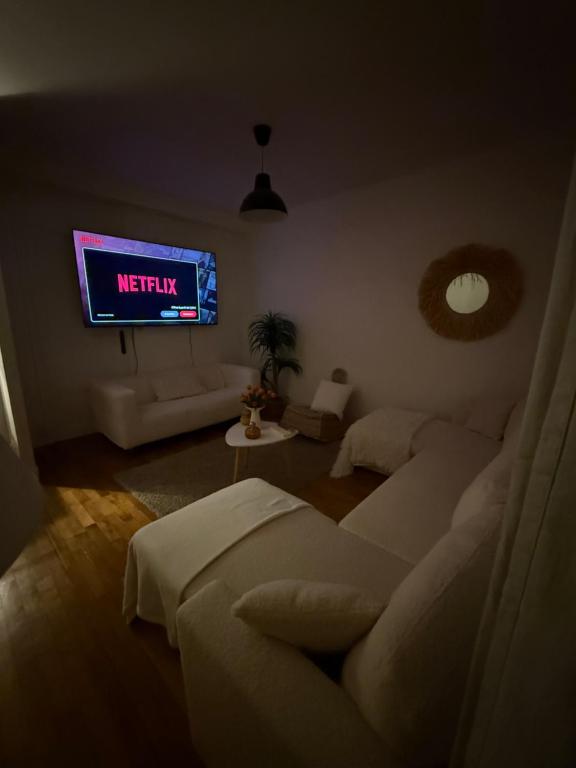 grand appartement en plein centre - 4
