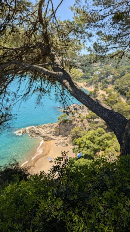 Cala Llevadó 2 – Vistas, Piscina y Cerca del Mar - 4