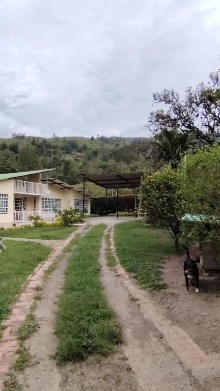 Ecofinca Santo Tomás - Aliado Villa Transito - 5