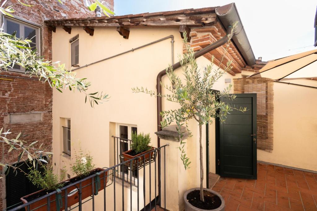 Arcobaleno Apartment in Center Town with Terrace - 5