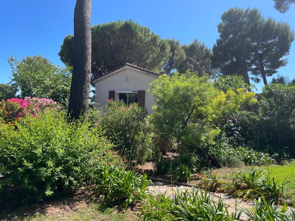 Villa dans grand jardin provençal - 2