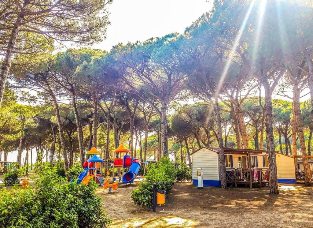 Camping Pineta - Nikoli Tour - 1