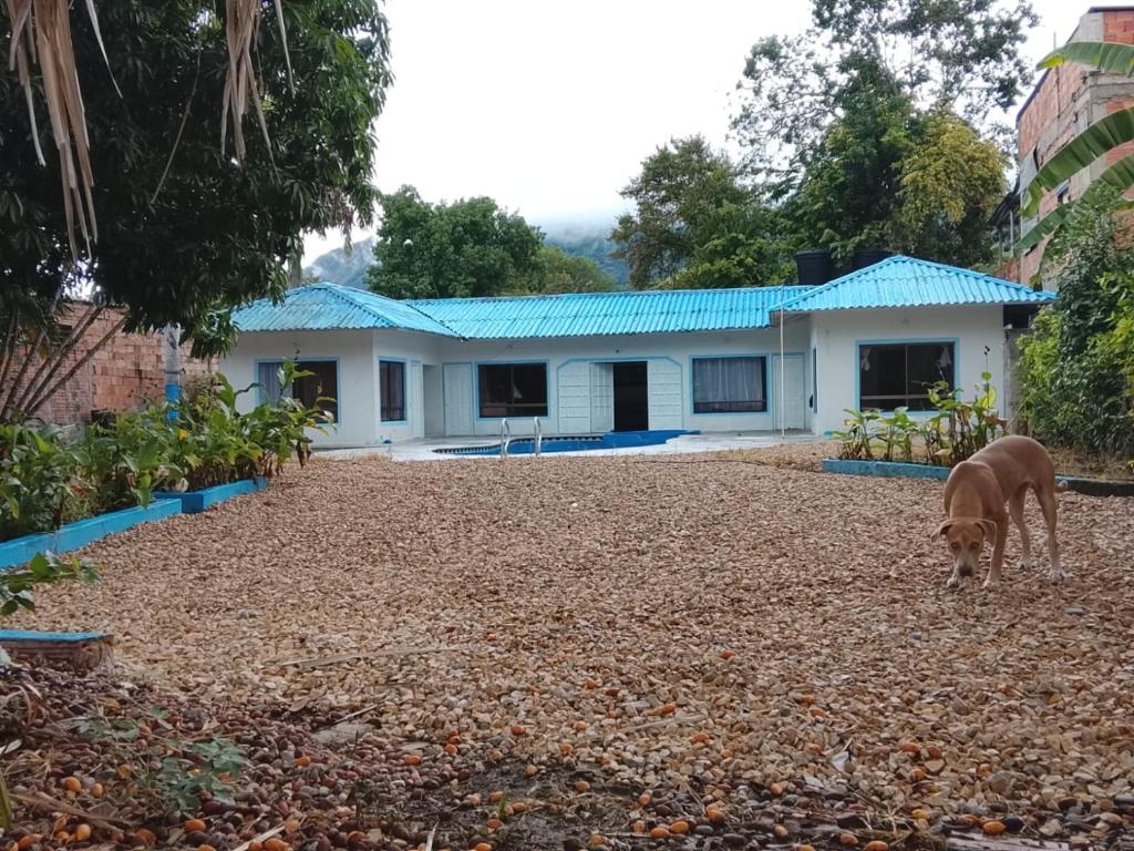 Finca los carrangueros - 2