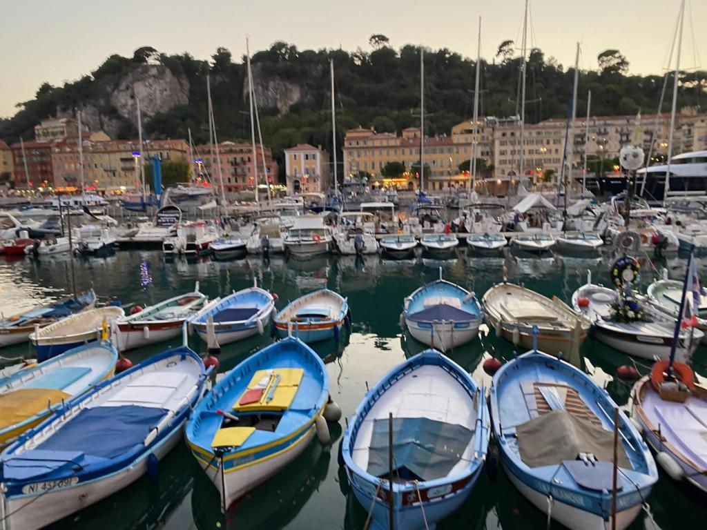 location appartement Nice - 1