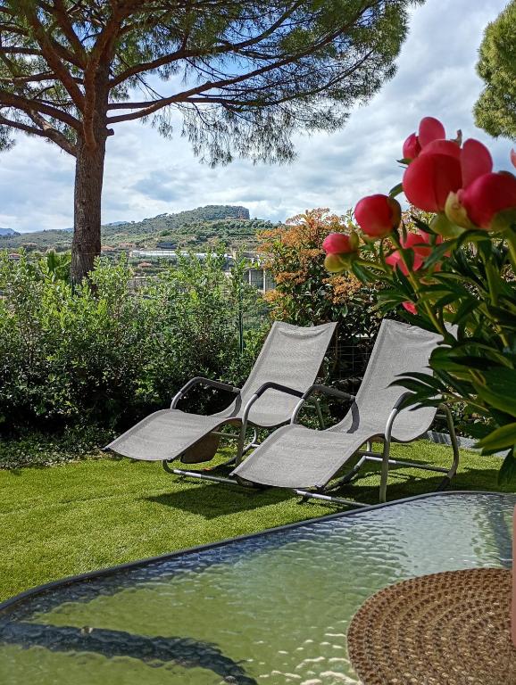 Le Mimose Garden - 2